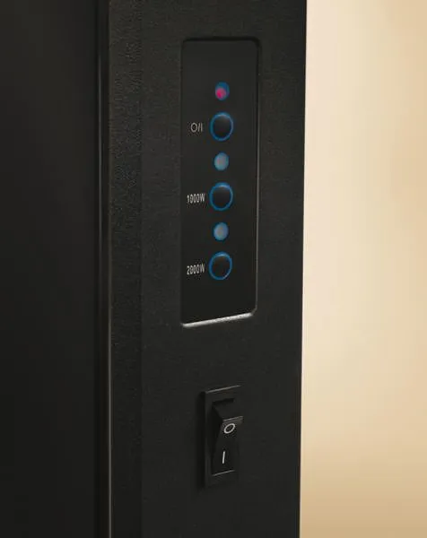Электрический камин Electrolux EFP/W-1300RRCL