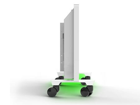 Электроконвектор Royal Clima Fiori Meccanico REC-FRWG1000M