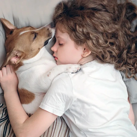 Кондиционер Electrolux Arctic Air DC EACS/I-09HAR_A/N3